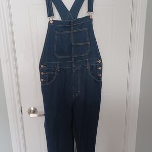 We The Free Indigo Denim Overalls